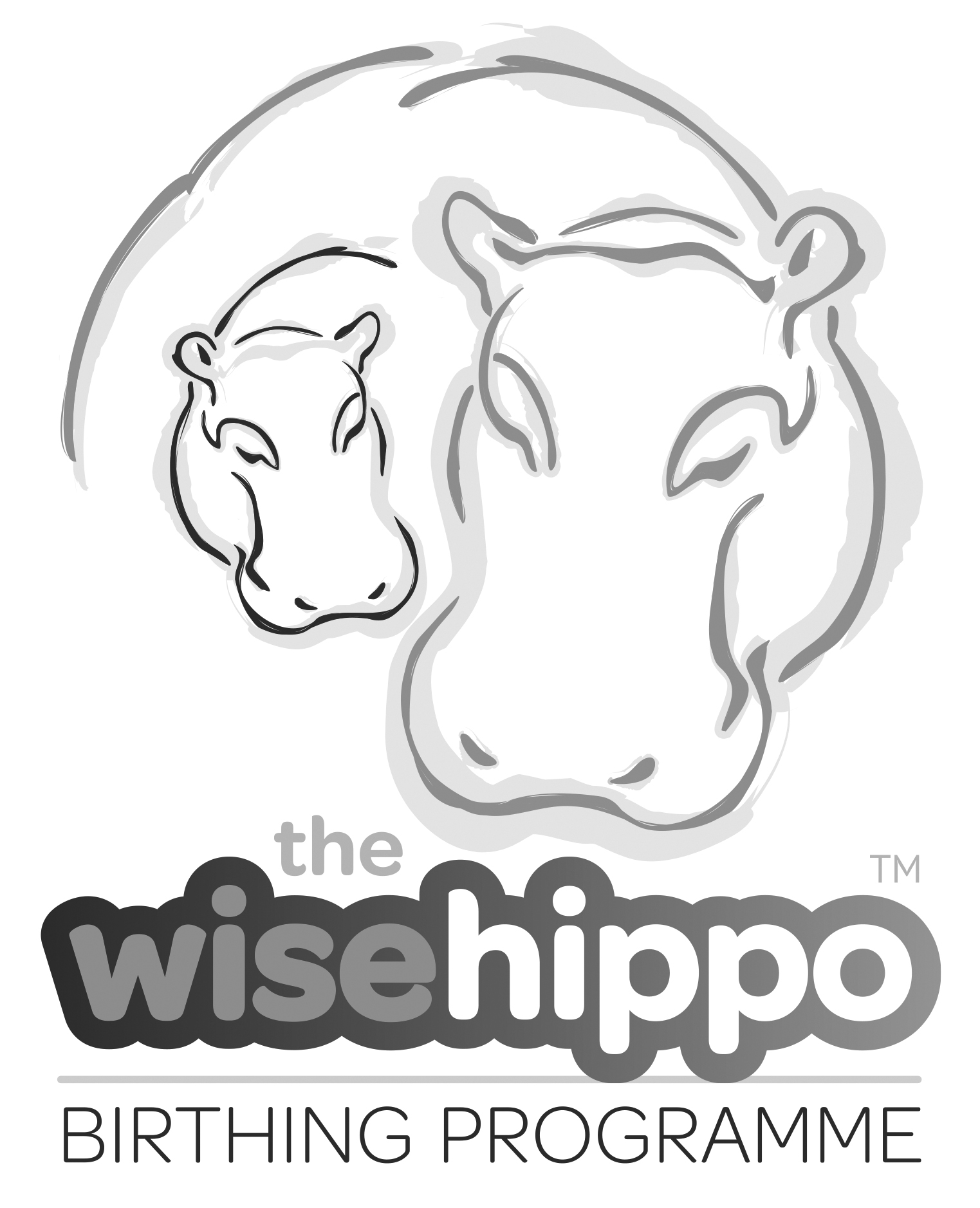 wise-hippo-logo-block-grey
